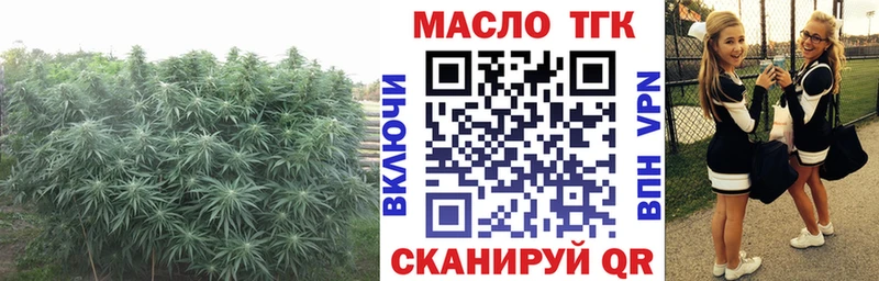мориарти официальный сайт Менделеевск ТГК THC oil kraken как войти