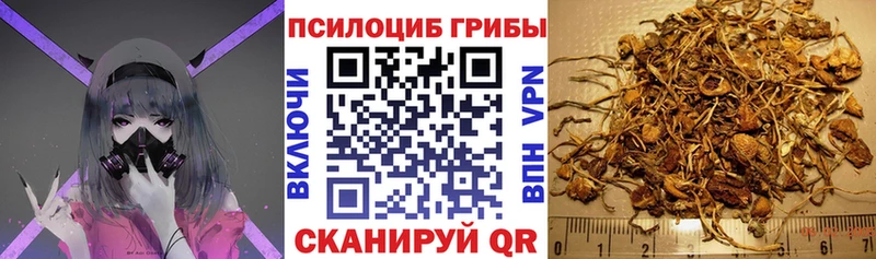 кракен онион  где продают наркотики  Менделеевск  Галлюциногенные грибы мицелий 