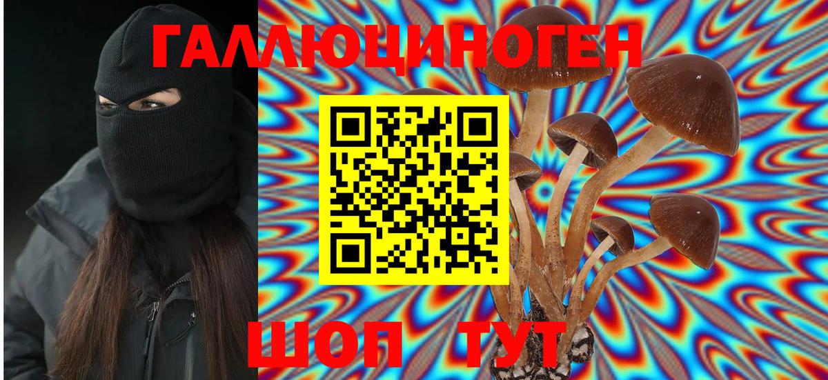 Гашиш Менделеевск